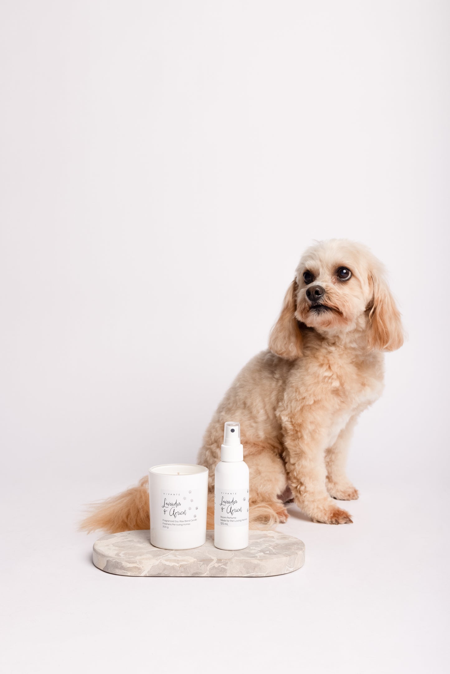 Vanilla & Berries Vivante Pet Friendly Room Spray 125mL