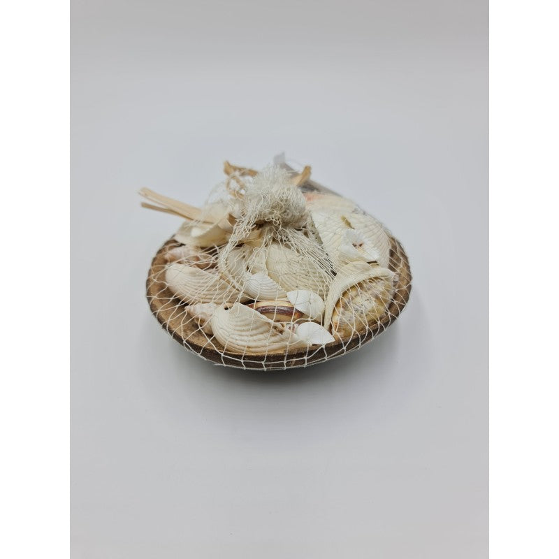 Mixed Shells in Coconut Shell
