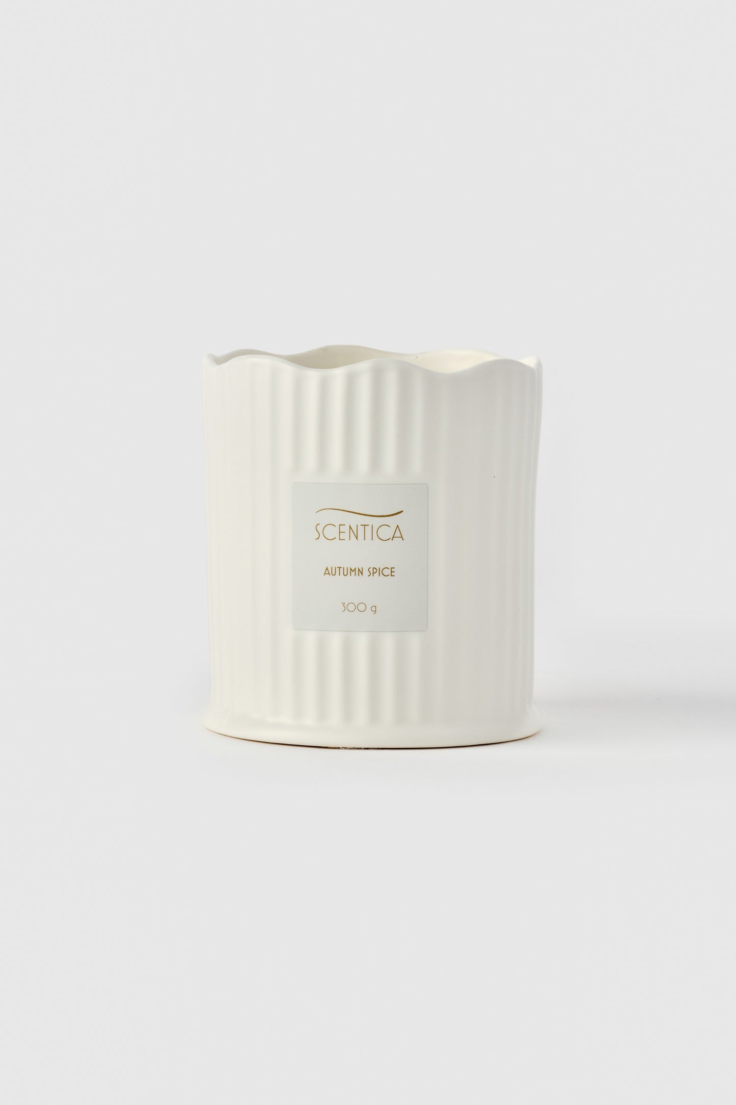 Autumn Spice Soy Wax Candle 300g