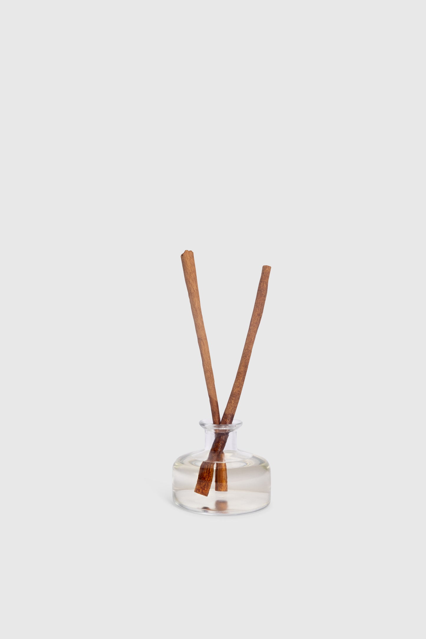 Self Love Cinnamon Stick Diffuser